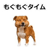 859145839