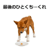 859145848