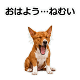 859145929