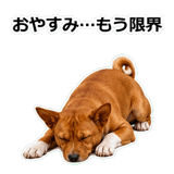 859145930