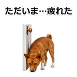 859145934