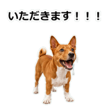 859145936