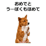 859145942