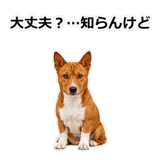 859145944