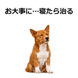 859145946
