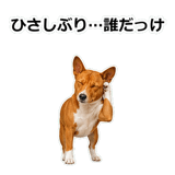 859145949