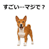 859145950