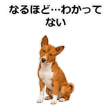 859145952