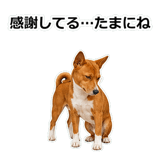 859145957