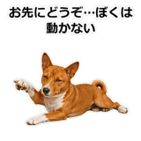 859145958