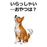 859145960