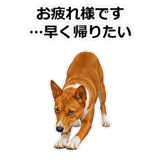 859145961