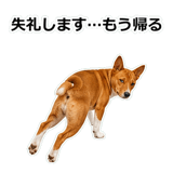 859145962