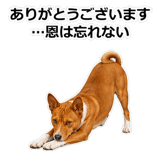 859145963