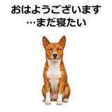 859145965