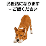 859145966