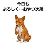 859145968