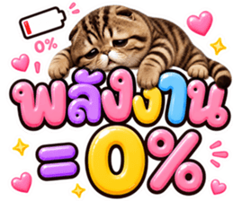แมวน้อย หมดไฟ รูปที่ 3