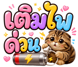 แมวน้อย หมดไฟ รูปที่ 4