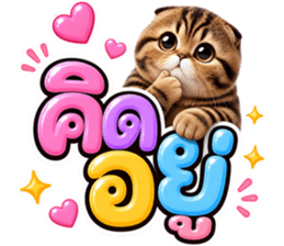 แมวน้อย หมดไฟ รูปที่ 8