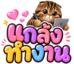 แมวน้อย หมดไฟ รูปที่ 12