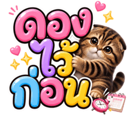 แมวน้อย หมดไฟ รูปที่ 27