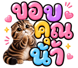 แมวน้อย หมดไฟ รูปที่ 33