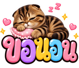 แมวน้อย หมดไฟ รูปที่ 35