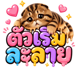 แมวน้อย หมดไฟ รูปที่ 36