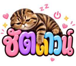 แมวน้อย หมดไฟ รูปที่ 39