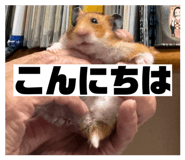 859220422
