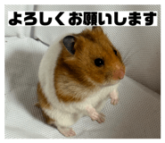 859220430