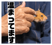 859220432