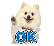 859224311
