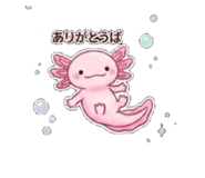 859227043