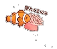 859227048