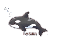 859227053