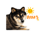 859228362