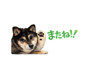 859228364