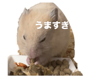 859228589