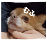859228599