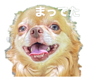 859228601