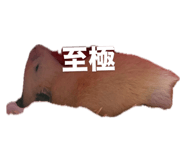 859228606