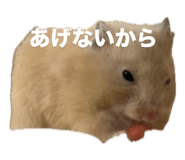 859228608
