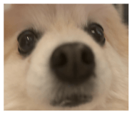 859228673