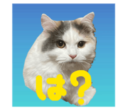 859228701