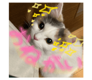 859228708