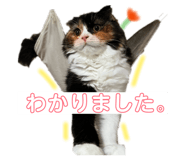 859228711