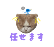 859228712