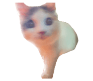 859228713